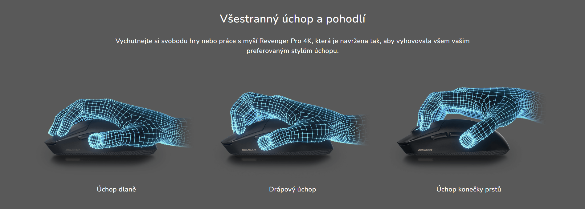 Snímek obrazovky 2026-03-24 114932